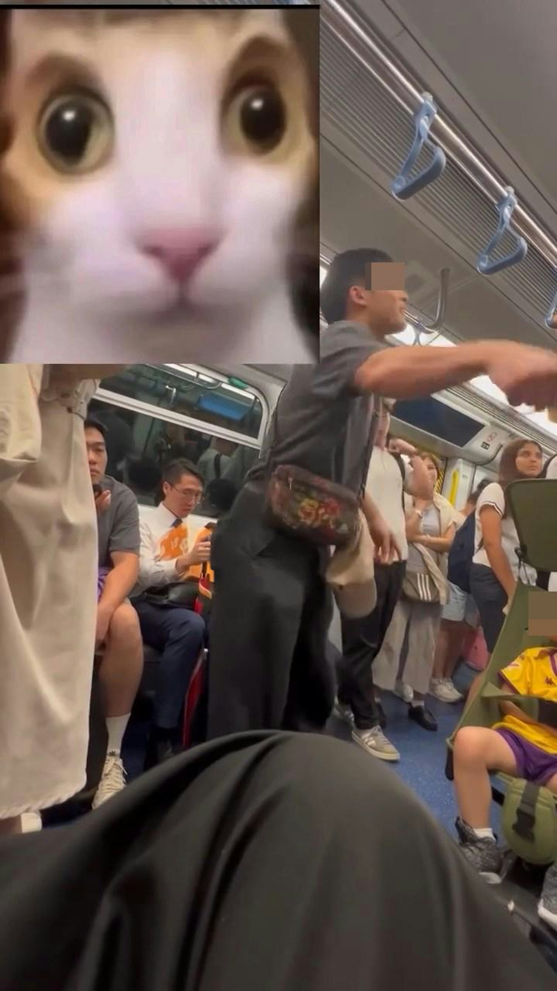 港铁车厢游客抢座驱赶乘客,本地男硬核反击获网民点赞 港铁车厢游客抢座驱赶乘客,本地男硬核反击获网民点赞