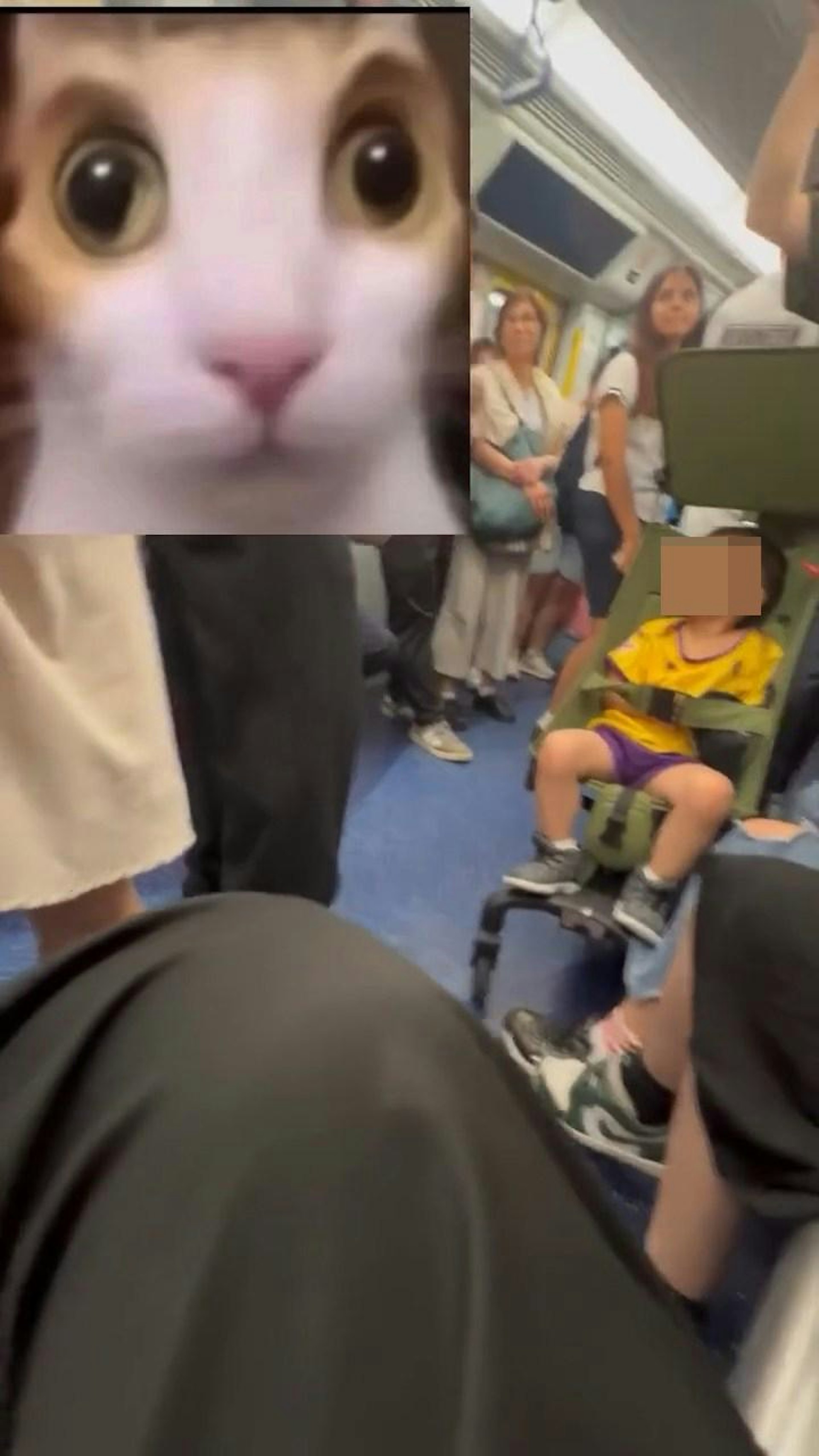 港铁车厢内有游客强行摄位逼走乘客,有香港男子看不过眼当场训斥。(Facebook群组「车cam L(香港群组)」)