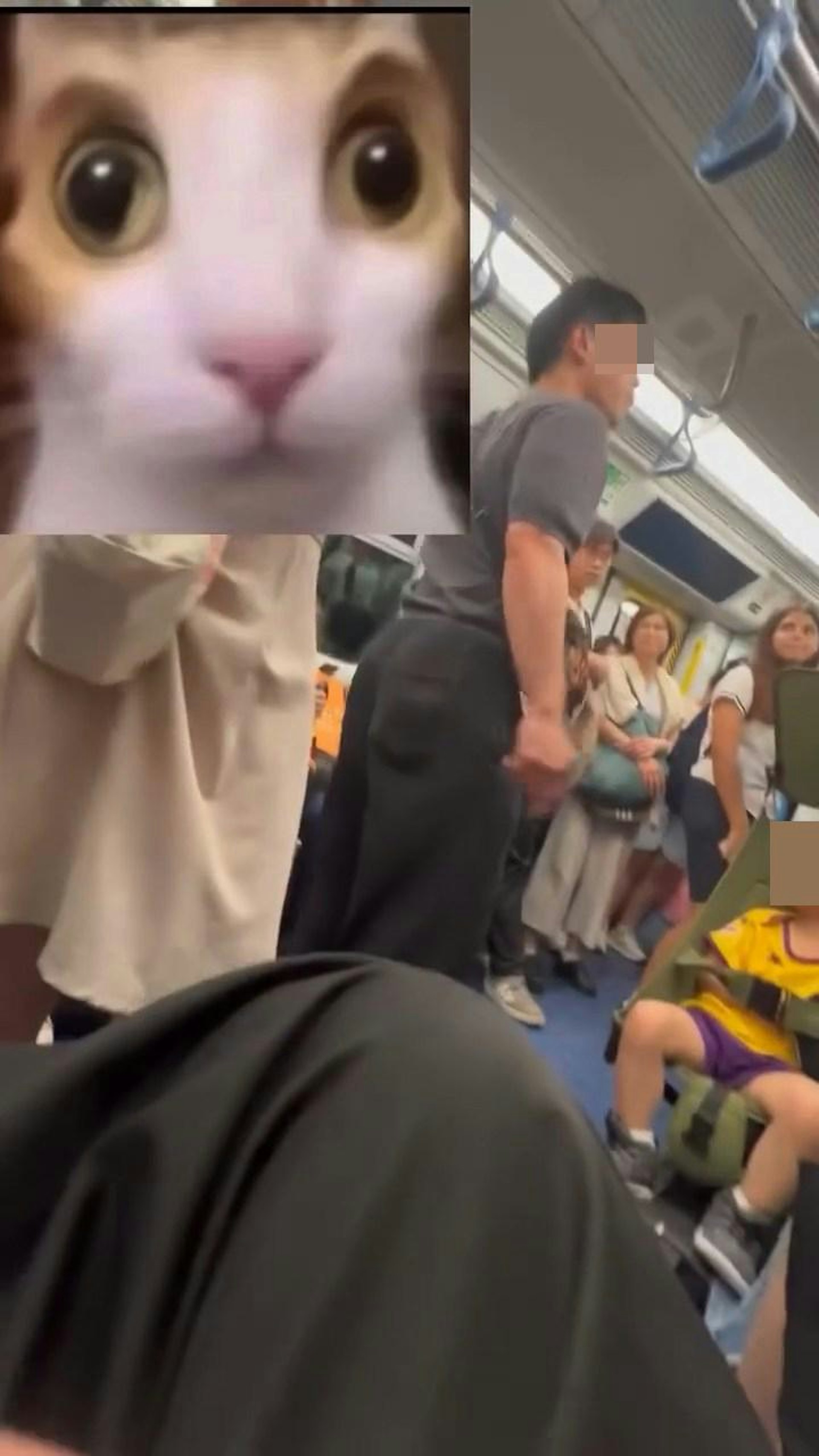 (Facebook群组「车cam L(香港群组)」)
