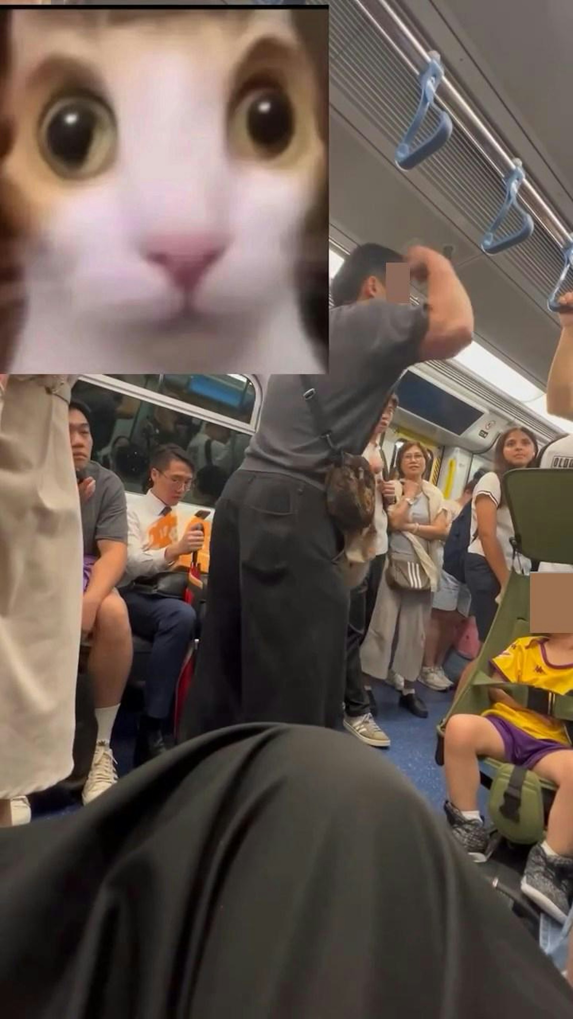 港铁车厢内有游客强行摄位逼走乘客,有香港男子看不过眼当场训斥。(Facebook群组「车cam L(香港群组)」)