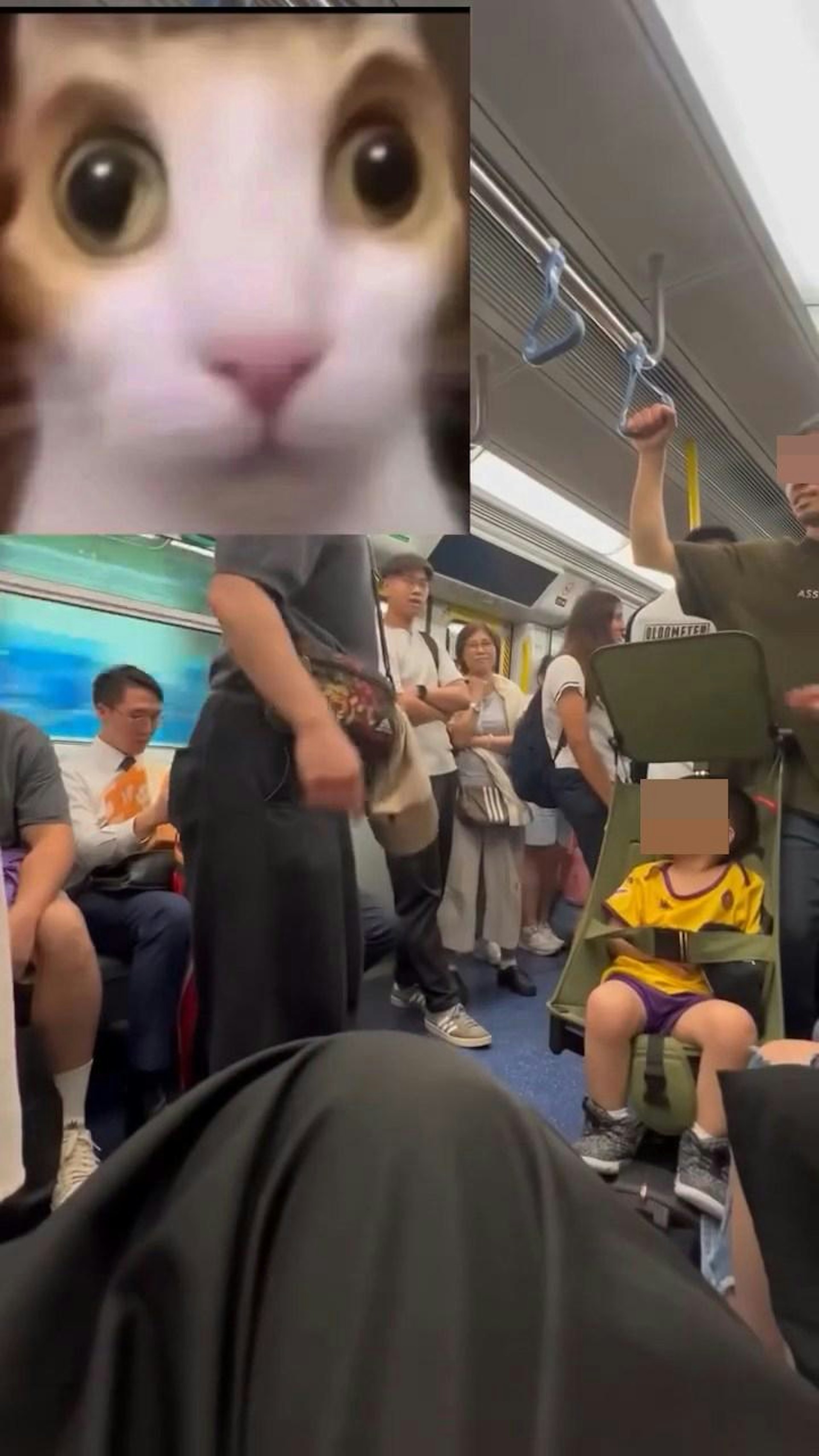 男游客则笑住回应「这个是小孩,知道吗?」。(Facebook群组「车cam L(香港群组)」)