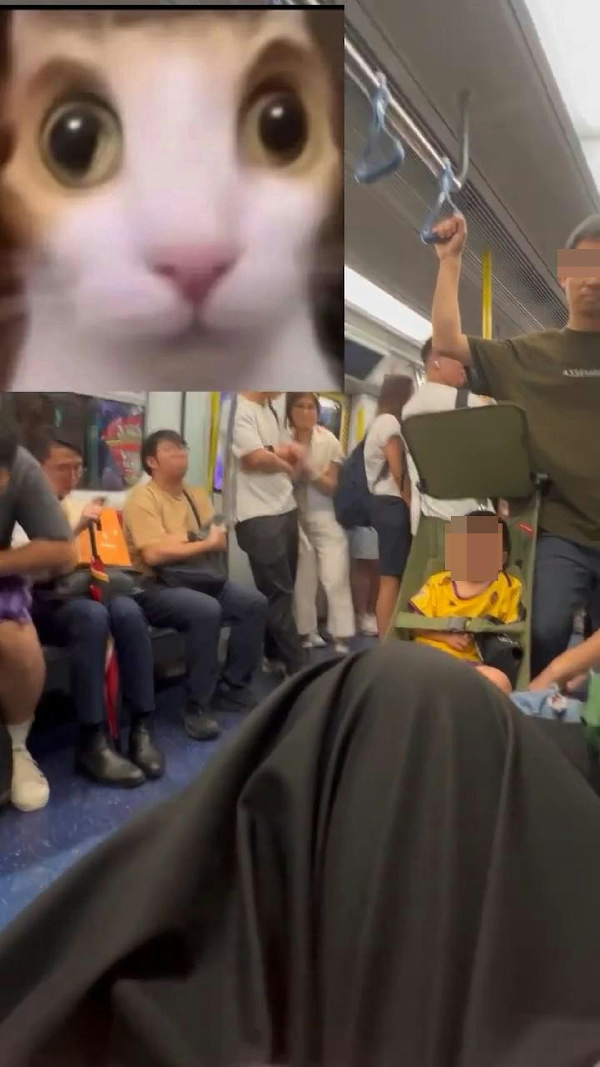 大部份网民都赞港男「做得好」,批评男游客离谱。(Facebook群组「车cam L(香港群组)」)