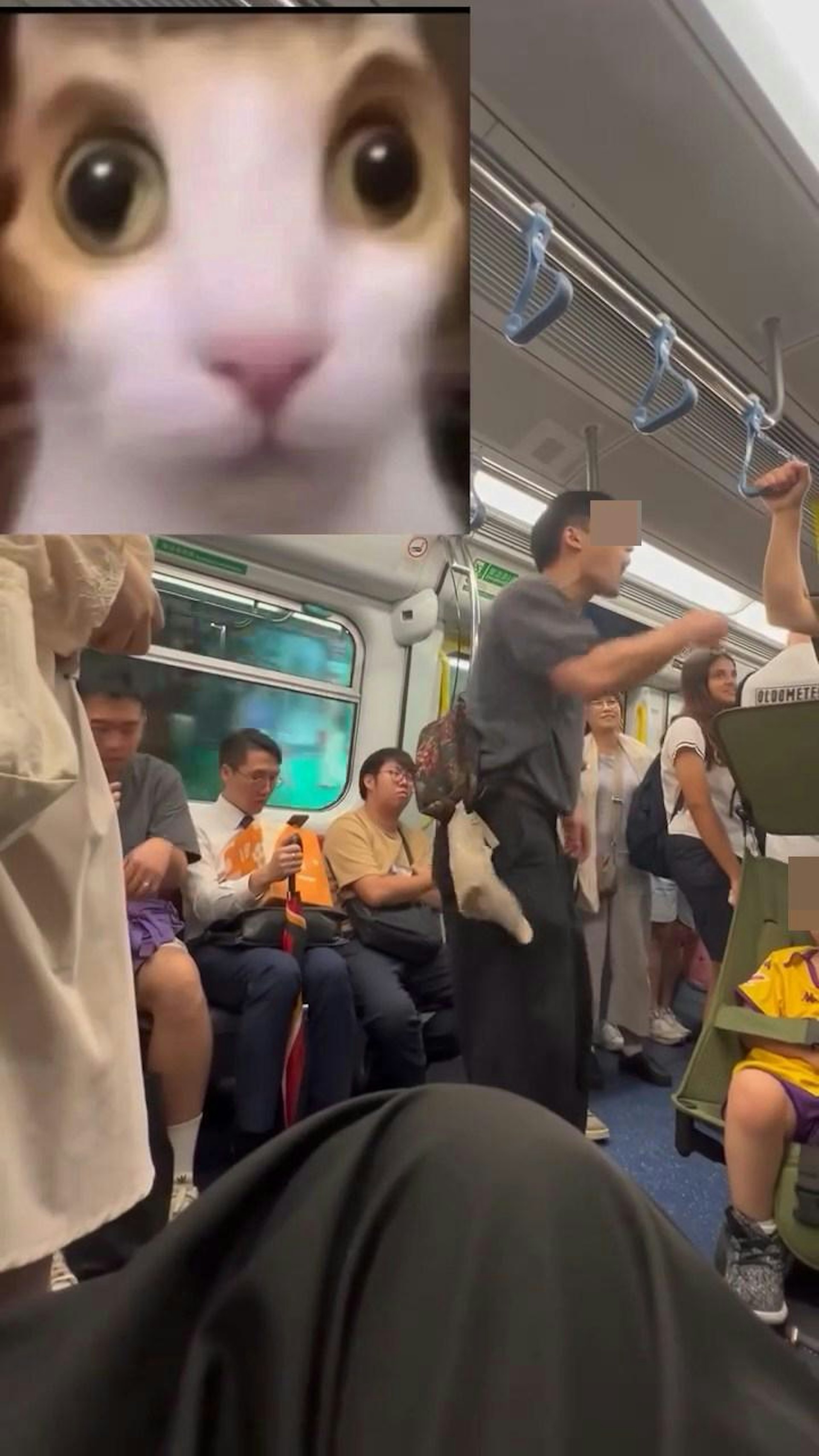 港铁范围滋扰乘客及说粗言秽语,可罚款5,000元。(Facebook群组「车cam L(香港群组)」)