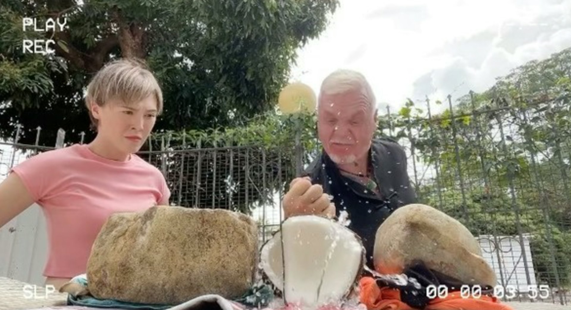 (截圖)
