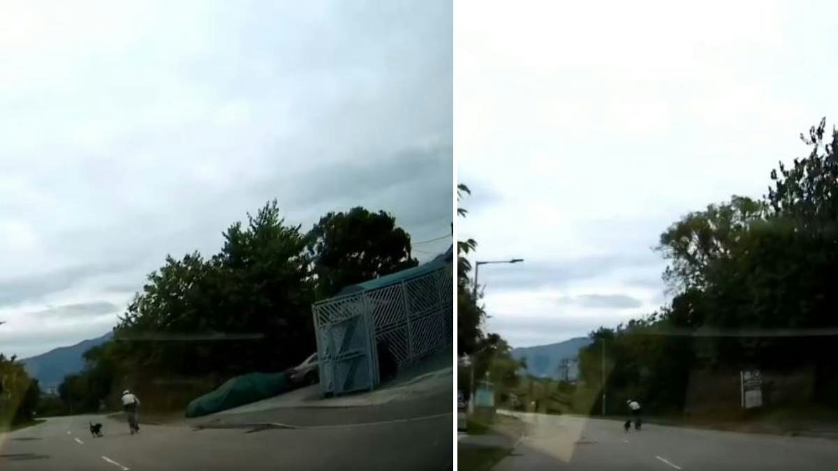 有片|文錦渡狗隻撲出狂追單車 網民憂狗咬人重演:冷靜先無出事