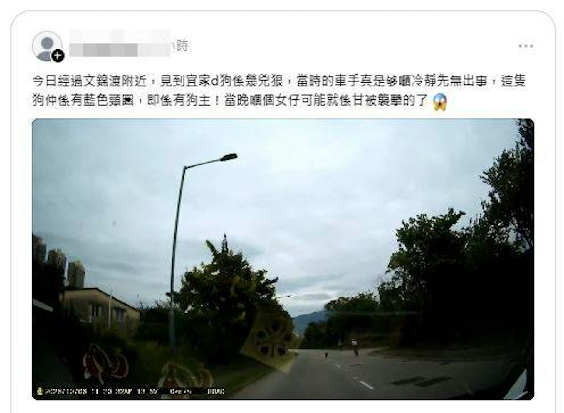 文锦渡惊现恶犬追击单车!车手冷静脱险引网友热议:若摔倒后果不堪设想 文锦渡惊现恶犬追击单车!车手冷静脱险引网友热议:若摔倒后果不堪设想