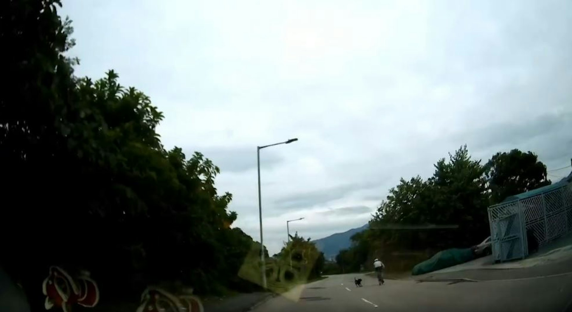 狗隻突然撲出追趕單車。(Threads_tungyiulam截圖)