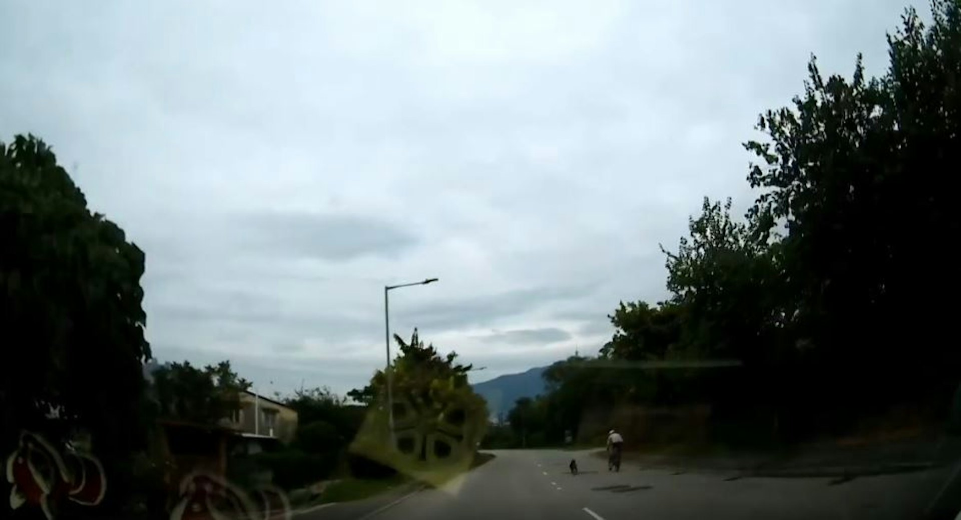 狗隻突然撲出追趕單車。(Threads_tungyiulam截圖)