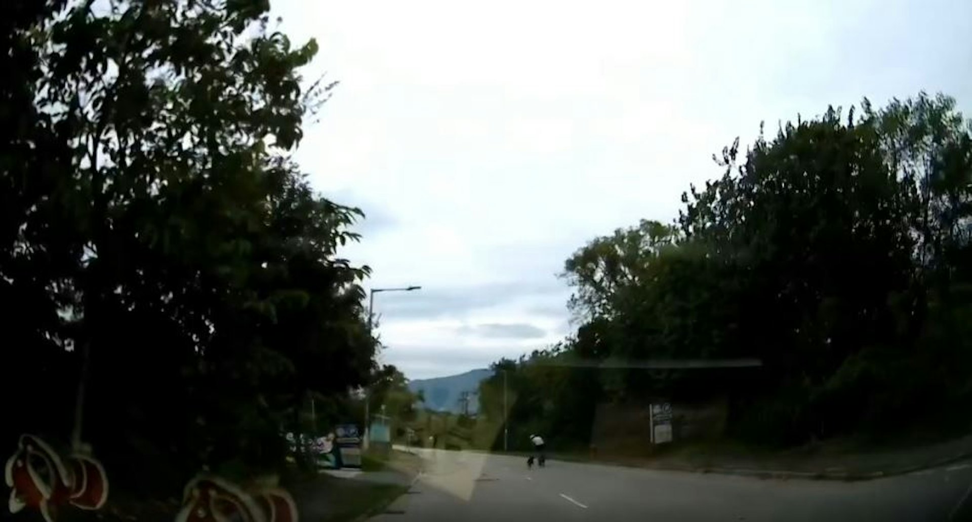 狗隻突然撲出追趕單車, 一度非常接近。(Threads_tungyiulam截圖)