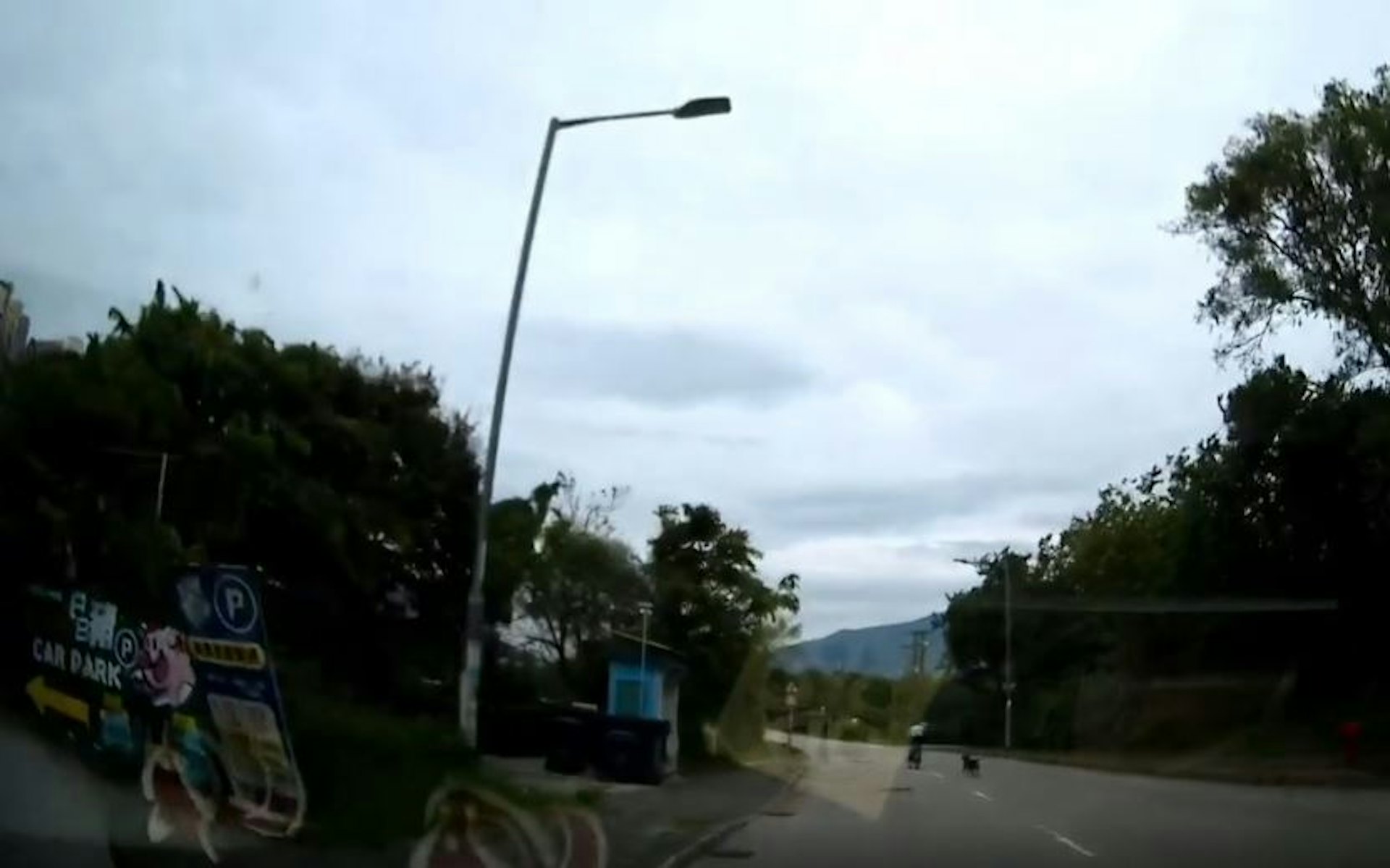 狗隻突然撲出追趕單車。(Threads_tungyiulam截圖)