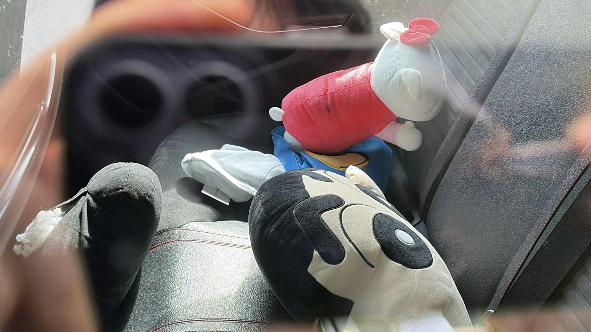 車上有不少毛公仔。