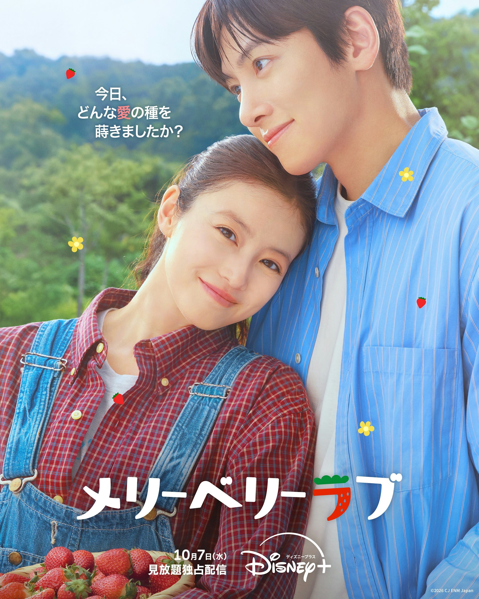 草莓田里的日韓浪漫:池昌旭今田美櫻Disney+新劇《愛上草莓的季節》5大亮點解析 草莓田里的日韓浪漫:池昌旭今田美櫻Disney+新劇《愛上草莓的季節》5大亮點解析