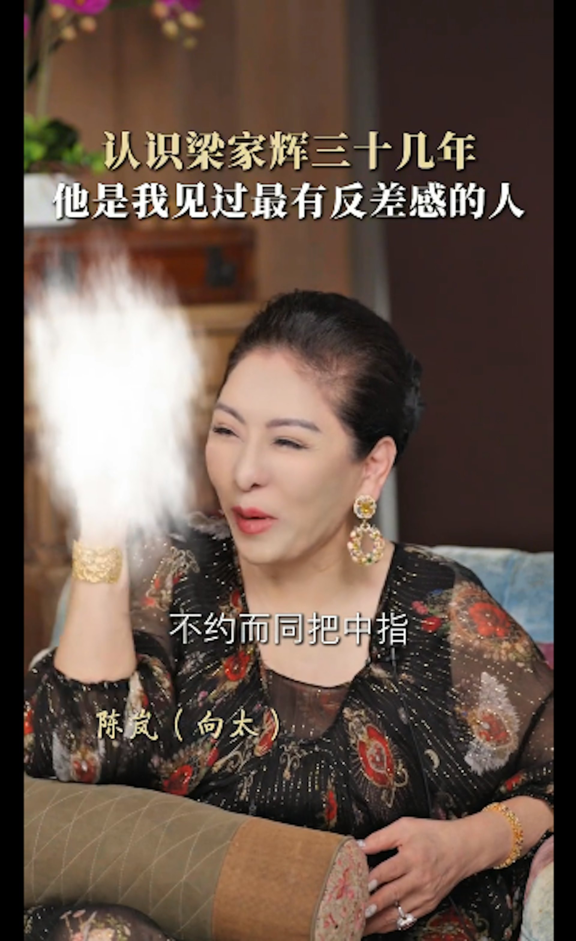 遭向太與關之琳豎中指反擊。(小紅書@向太Tiffany)