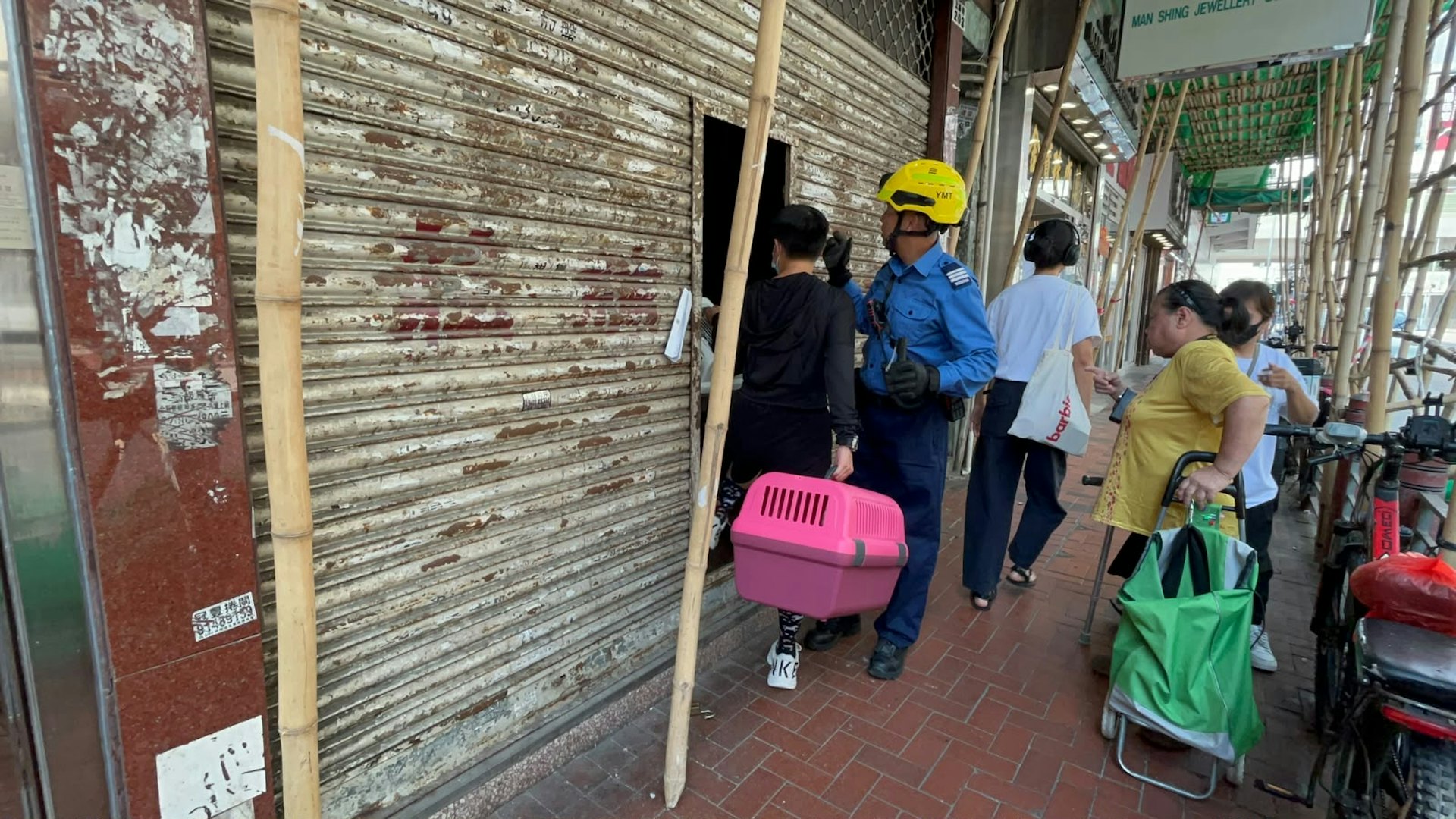 3隻幼貓由貓義工帶往貓舍隔離檢查。