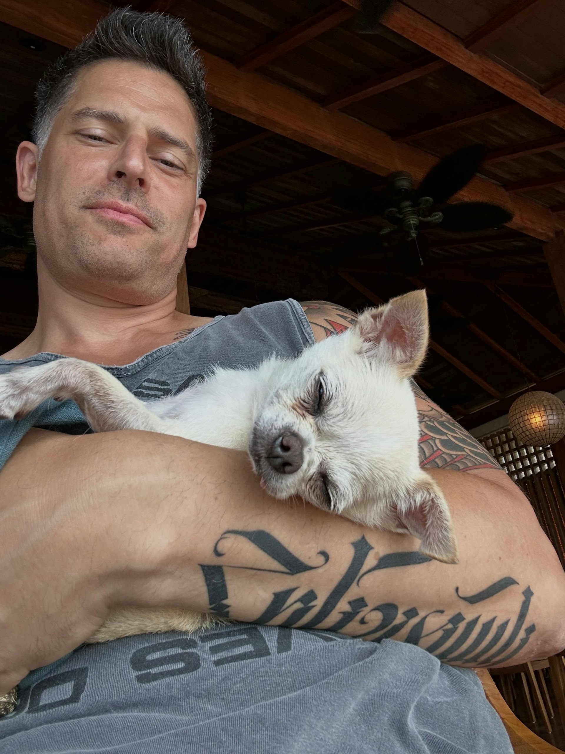 Joe Manganiello與他的小狗(Instagram@joemanganiello)