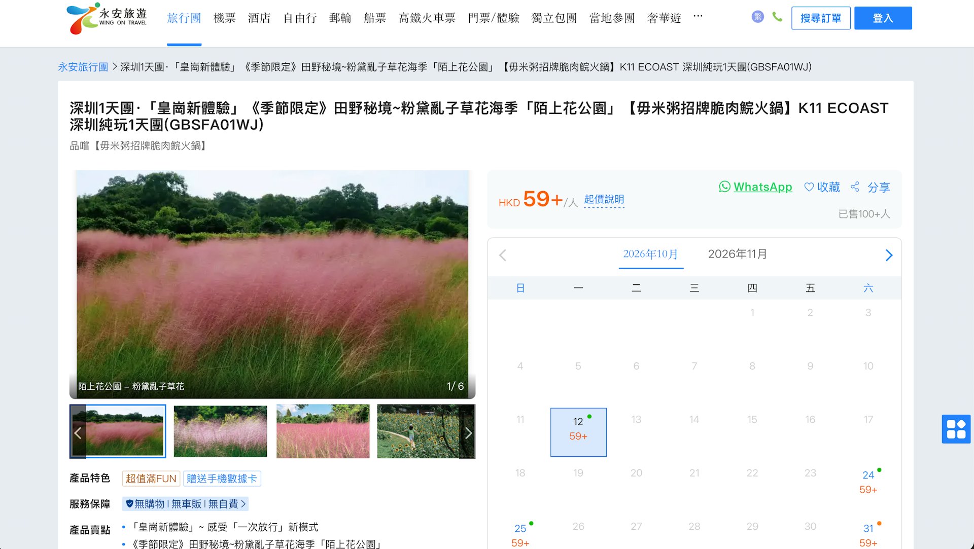 永安旅遊設立新皇崗口岸主題專頁,推出多條涵蓋大灣區及粵北地區的1至3天短途行程。(永安旅遊網頁截圖)