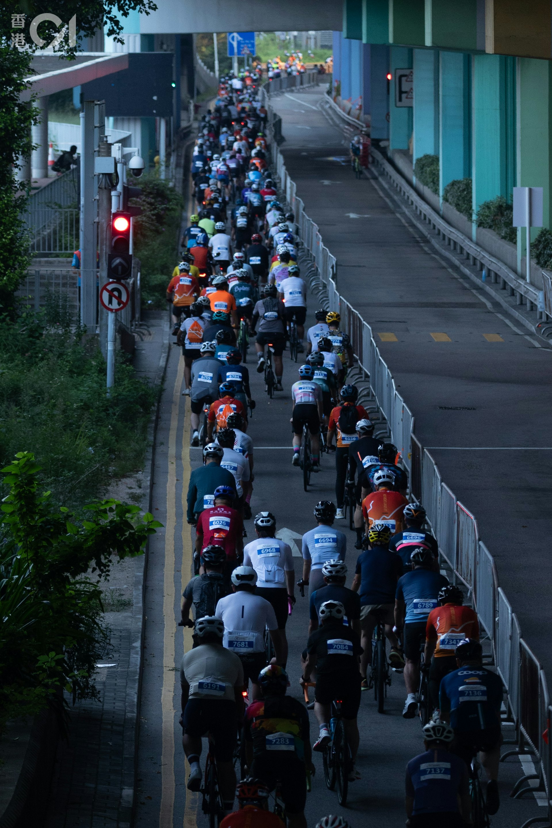 香港單車節今日(11日)舉行。