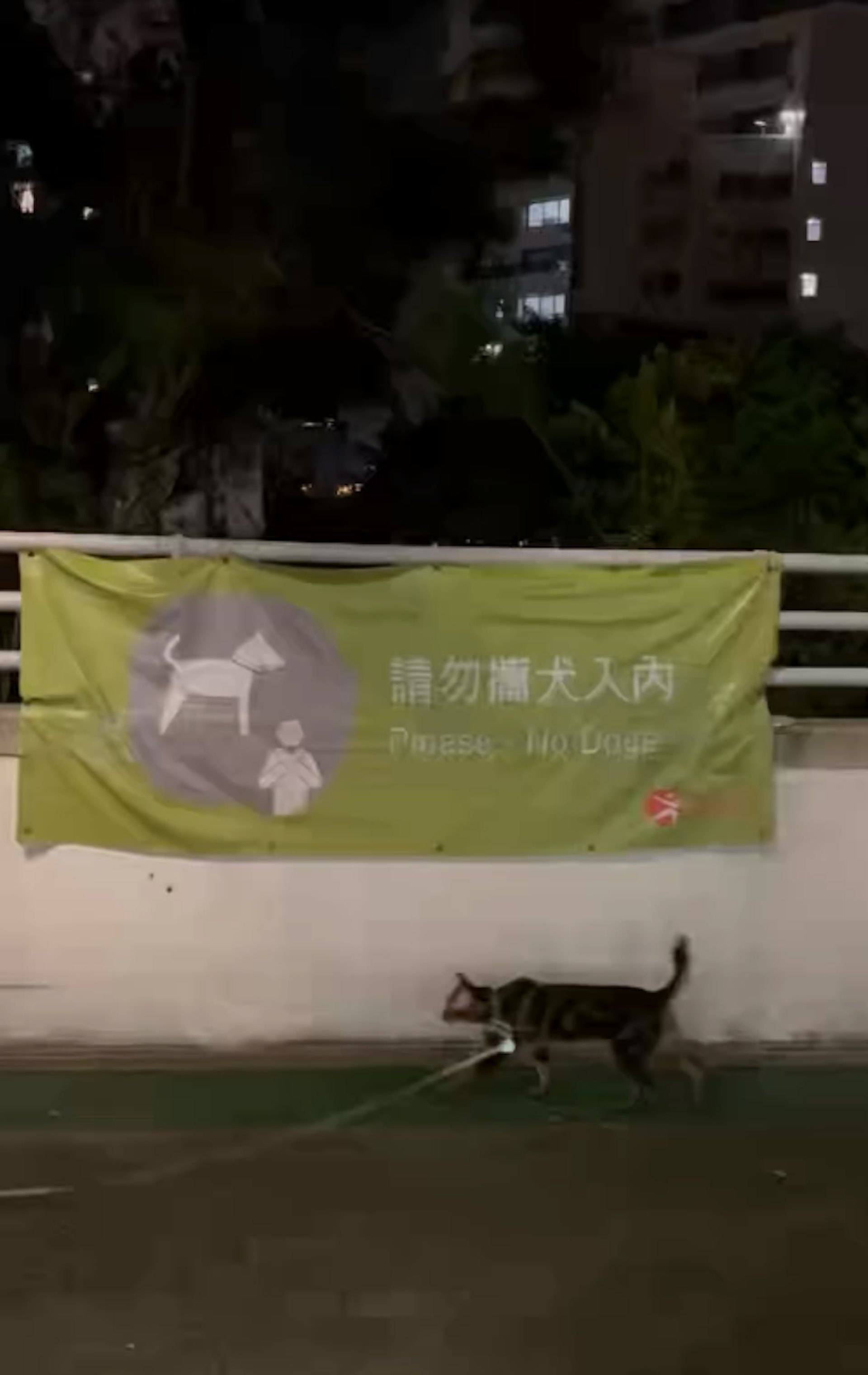 寵物公園權益爭議:女貓主投訴特首辦後獲康文署主管當面鞠躬致歉 寵物公園權益爭議:女貓主投訴特首辦後獲康文署主管當面鞠躬致歉