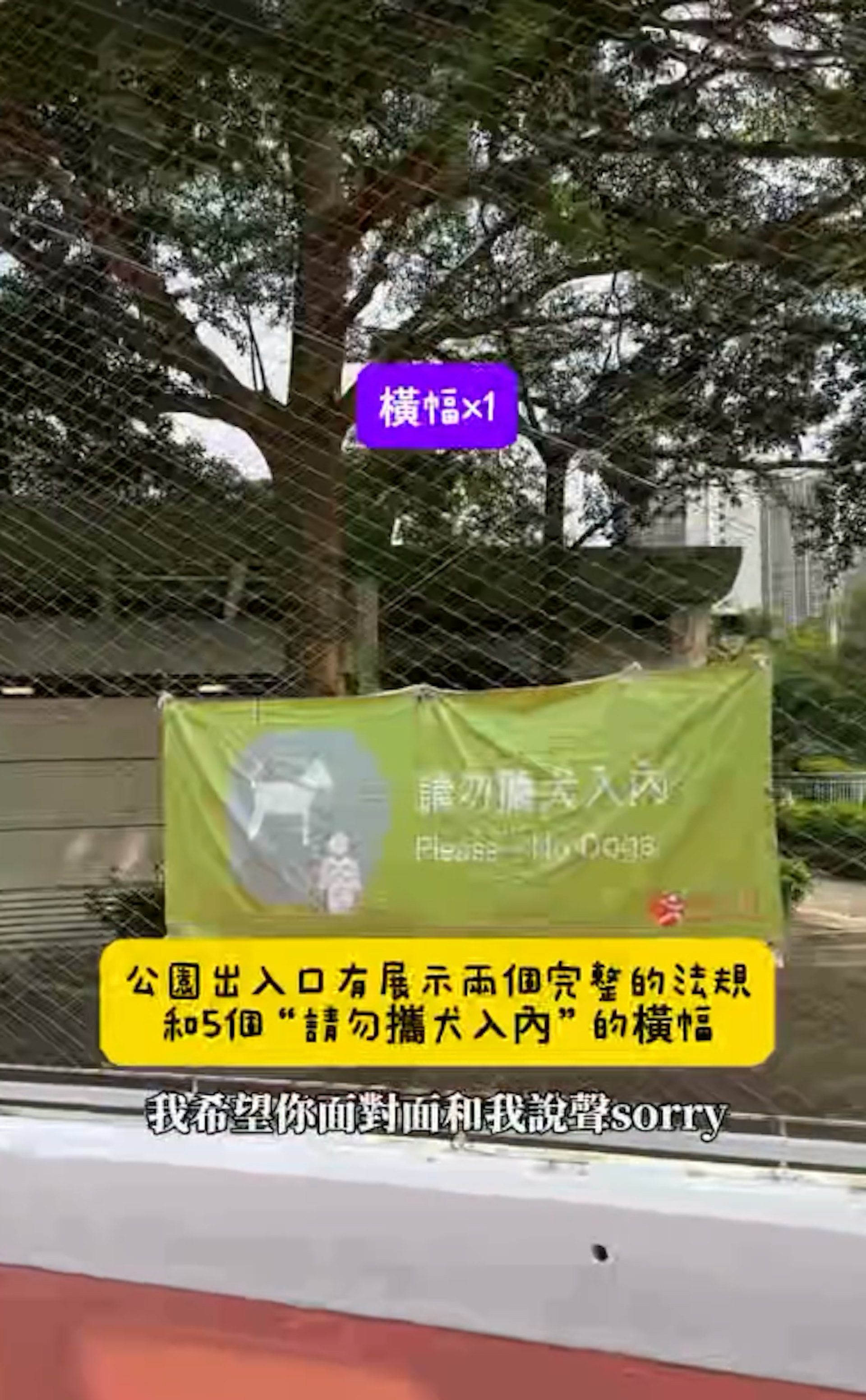 一名女子早前帶同愛貓到康文署轄下公園散步,屢次被前線保安人員無理阻撓及驅趕,更有康文署場地主管揚言向她發告票。(IG : pika.pikachu.0522)