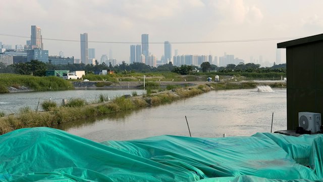 https://cdn.hk01.com/di/media/images/dw/20261012/1186231814830690304634725.jpeg/c8mc0hV7crCfDEGlTxSwuXQSk6SnjOWnNM--7zTPvu8?v=w640
