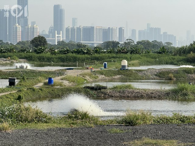 https://cdn.hk01.com/di/media/images/dw/20261012/1186234279626018816368014.jpeg/pEtVivpsUr8f7exW4oX7E61bOeAx_ZSIFdmQcjDZkHI?v=w640
