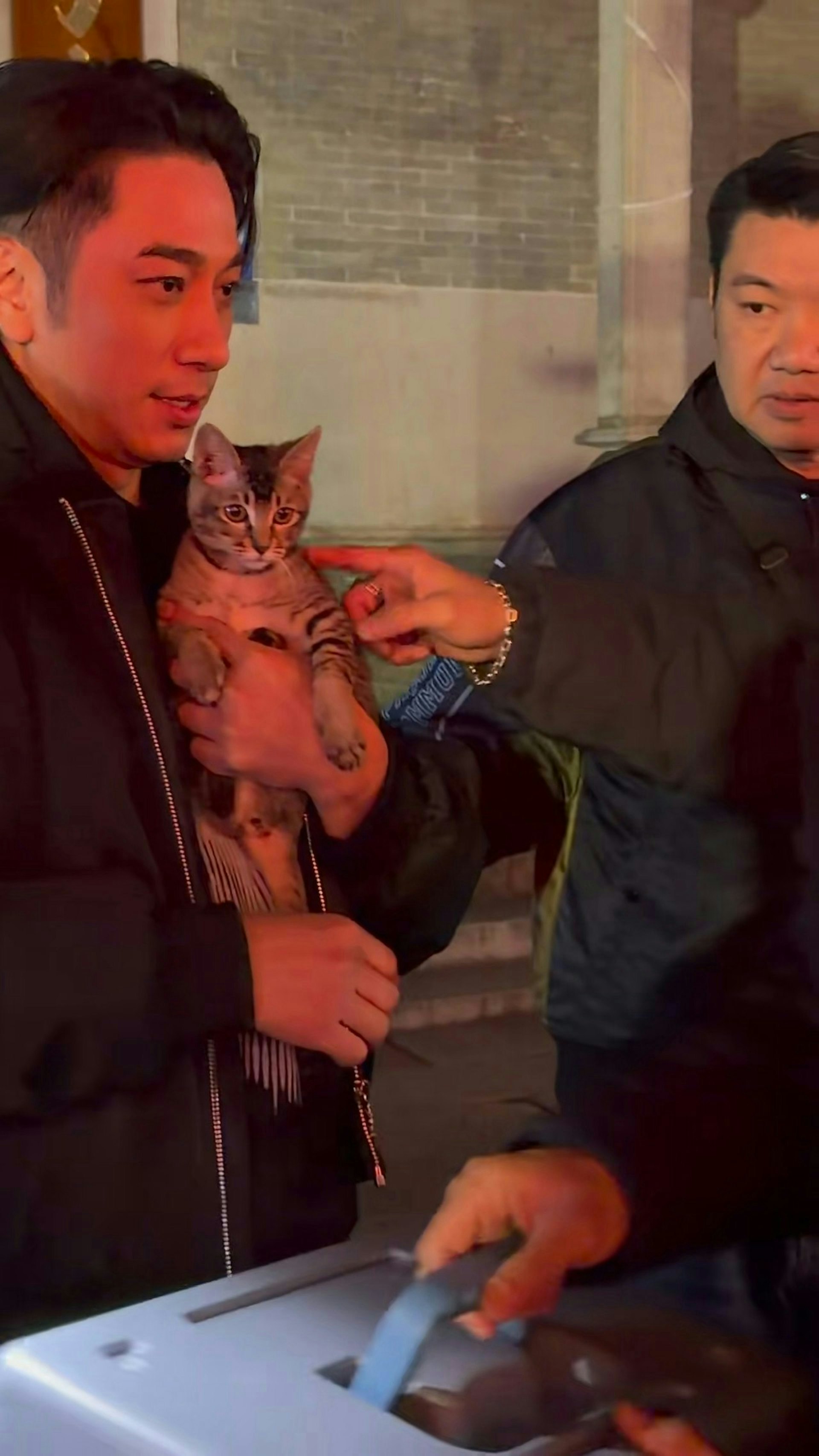 不少網民質疑二人「一隻貓兩份養」。(小紅書)