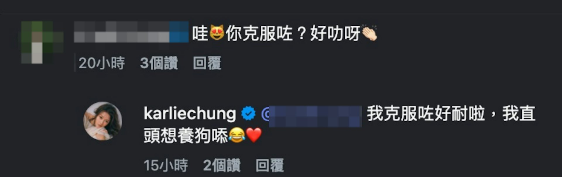 有網民在影片下方好奇留言詢問:「哇,妳克服咗?」。鍾晴亦親自大方作出回覆:「我克服咗好耐啦,我直頭想養狗㖭😂❤️。」(IG@karliechung)