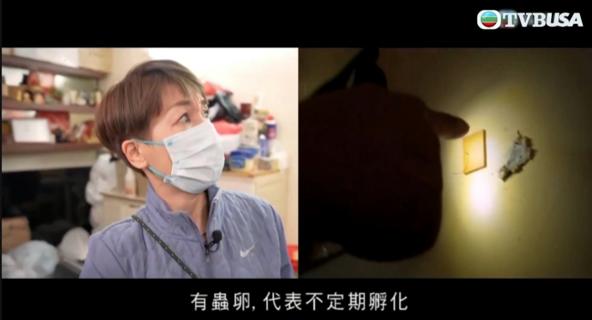當日滅蟲片段,江美儀入屋內拍攝。(YouTube@TVB USA Official)