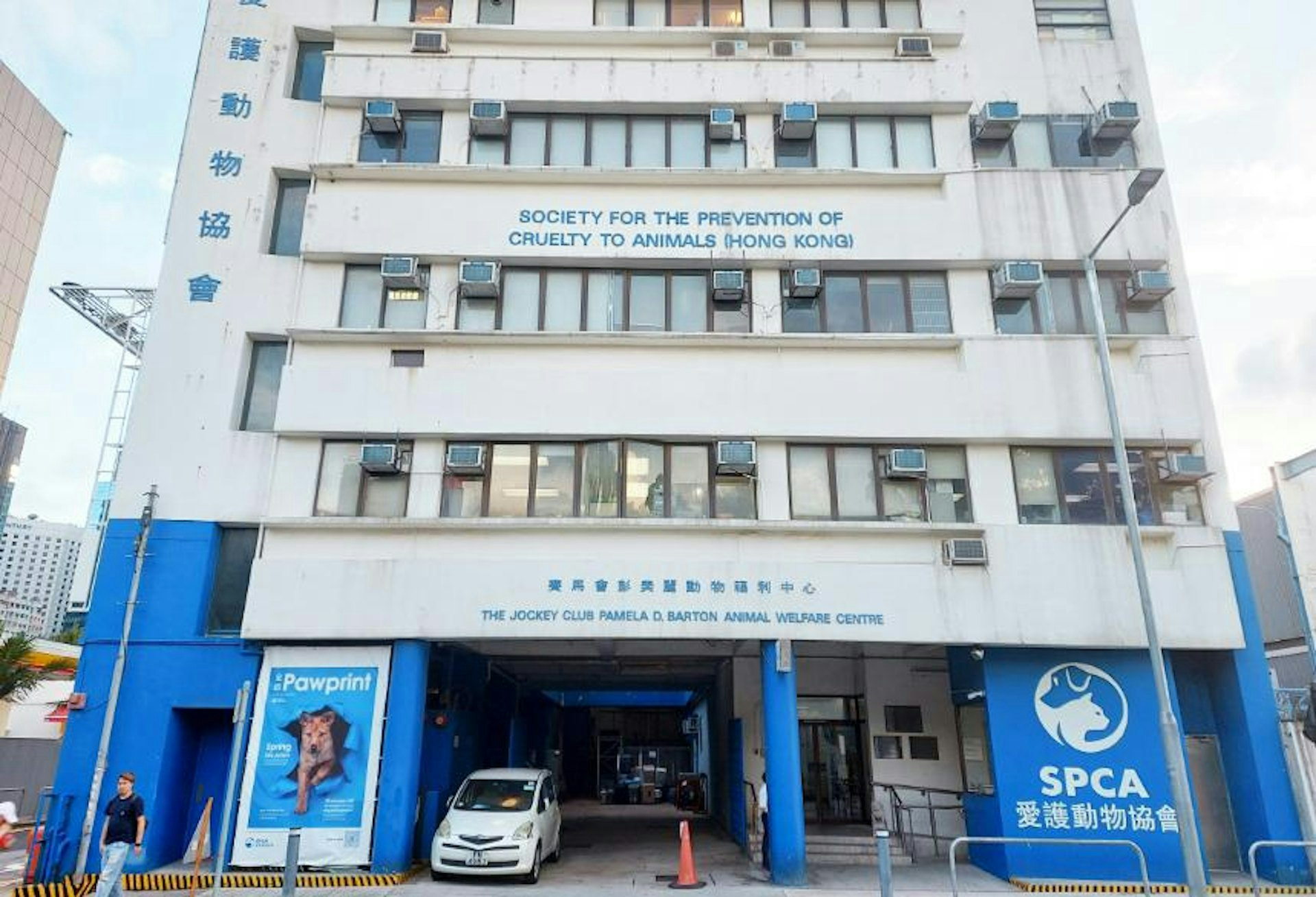 愛護動物協會人員檢走7隻貓屍。