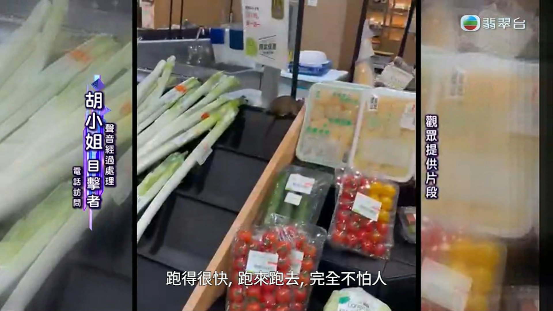 如果自己遇到老鼠咁光明正大都應該會大叫。(節目截圖)