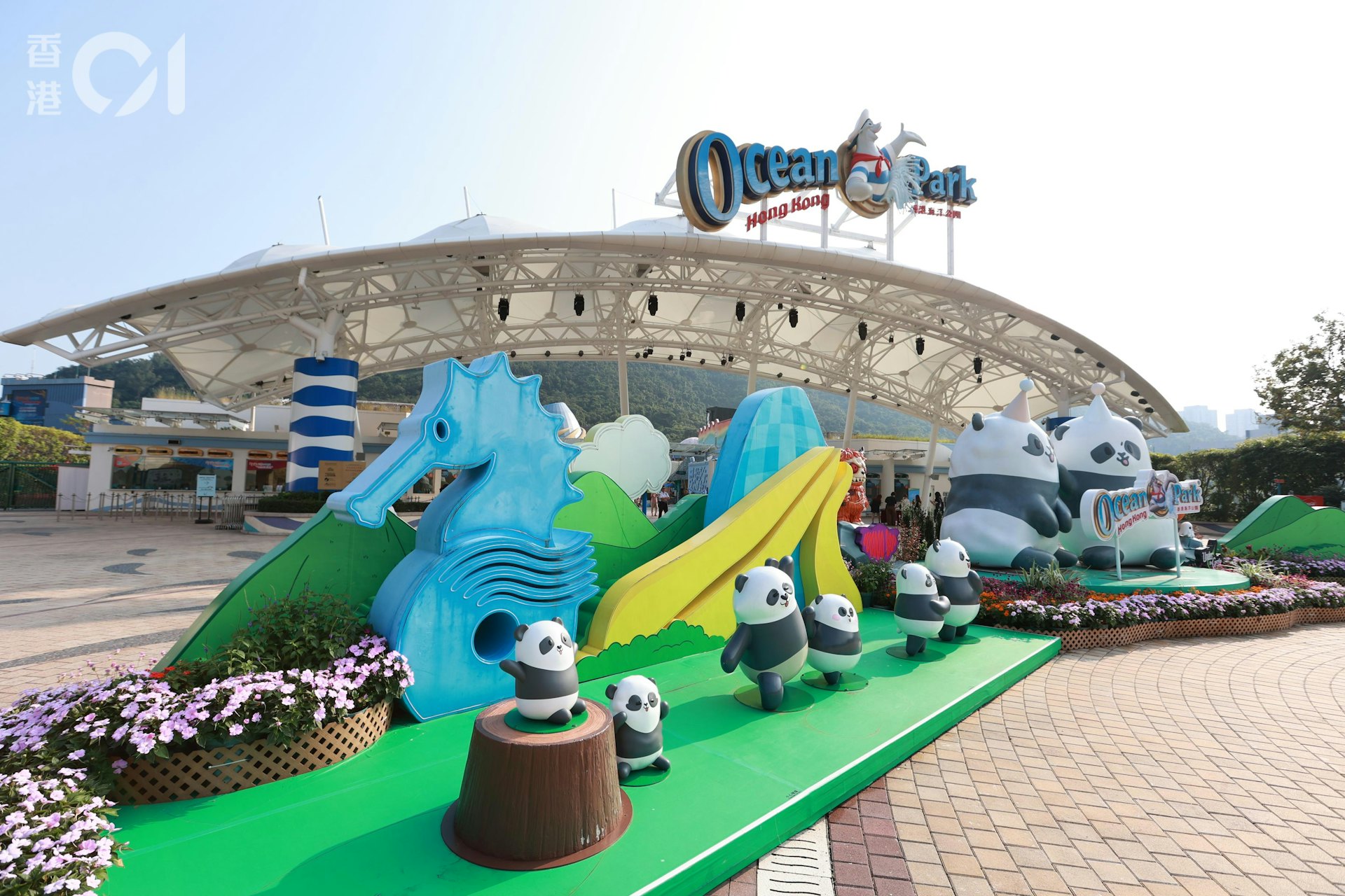 海洋公園將於明年1月迎來50周年,以「延續動人未來」為主題,設一系列慶祝活動。