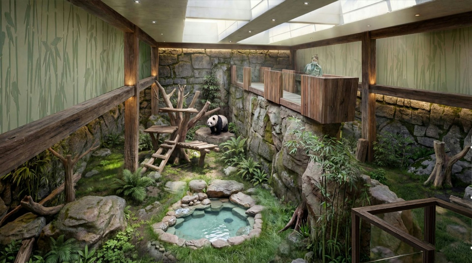 全新的大熊貓展館將於明年第三季啟用,港產大熊貓加加及得得也將搬往該館。