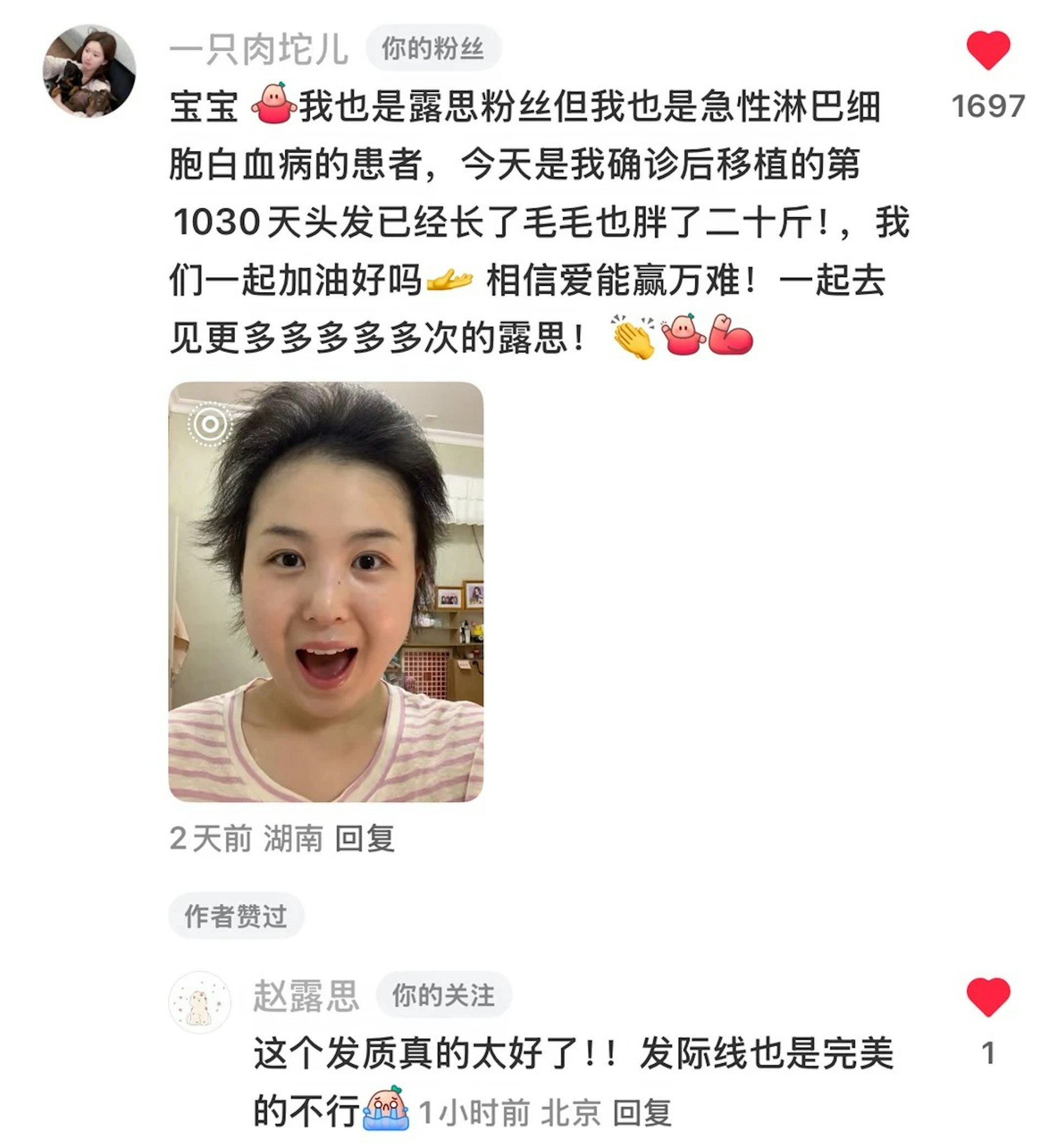 另一个粉丝也是患白血病,赵露思得知后也在评论为她打气。(小红书@一只肉坨儿)