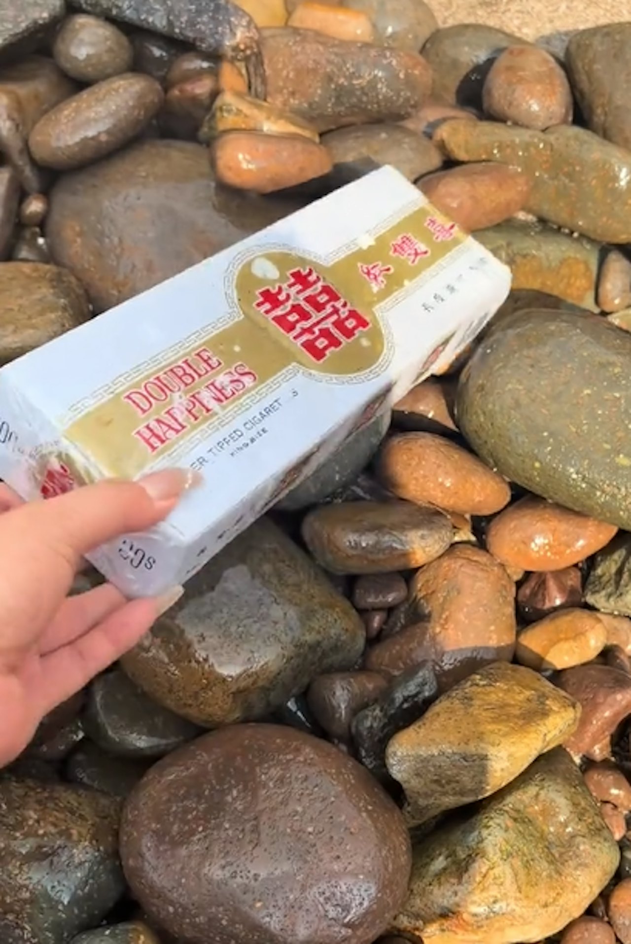 https://cdn.hk01.com/di/media/images/dw/20261019/1188888269144723456860349.png/mvzXZjRPXixxyd_tdP8ivHp4jqBvsOhVUsXBtFLFwbQ?v=w1280