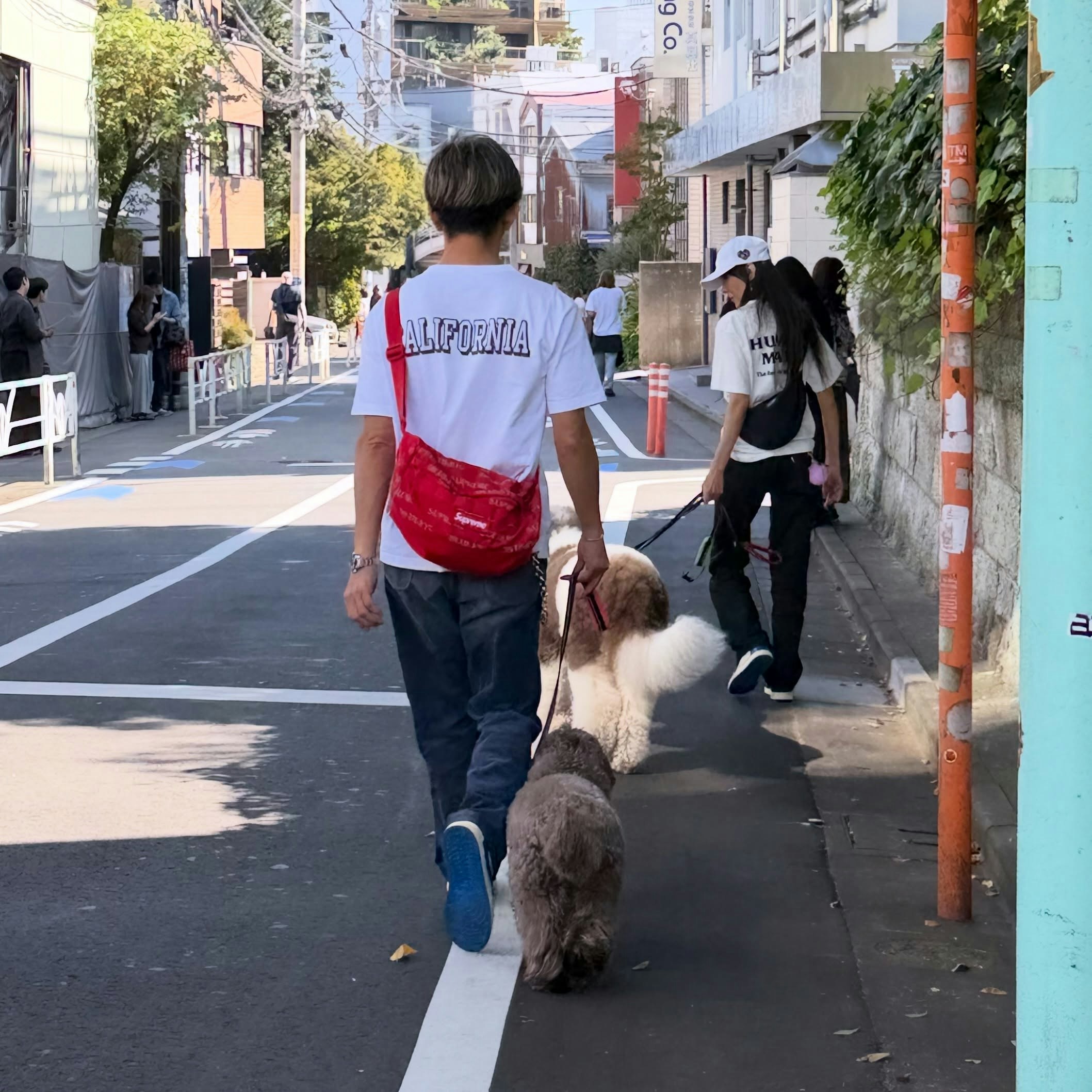 木村拓哉背着红色挎包，与工藤静香牵狗走在街头