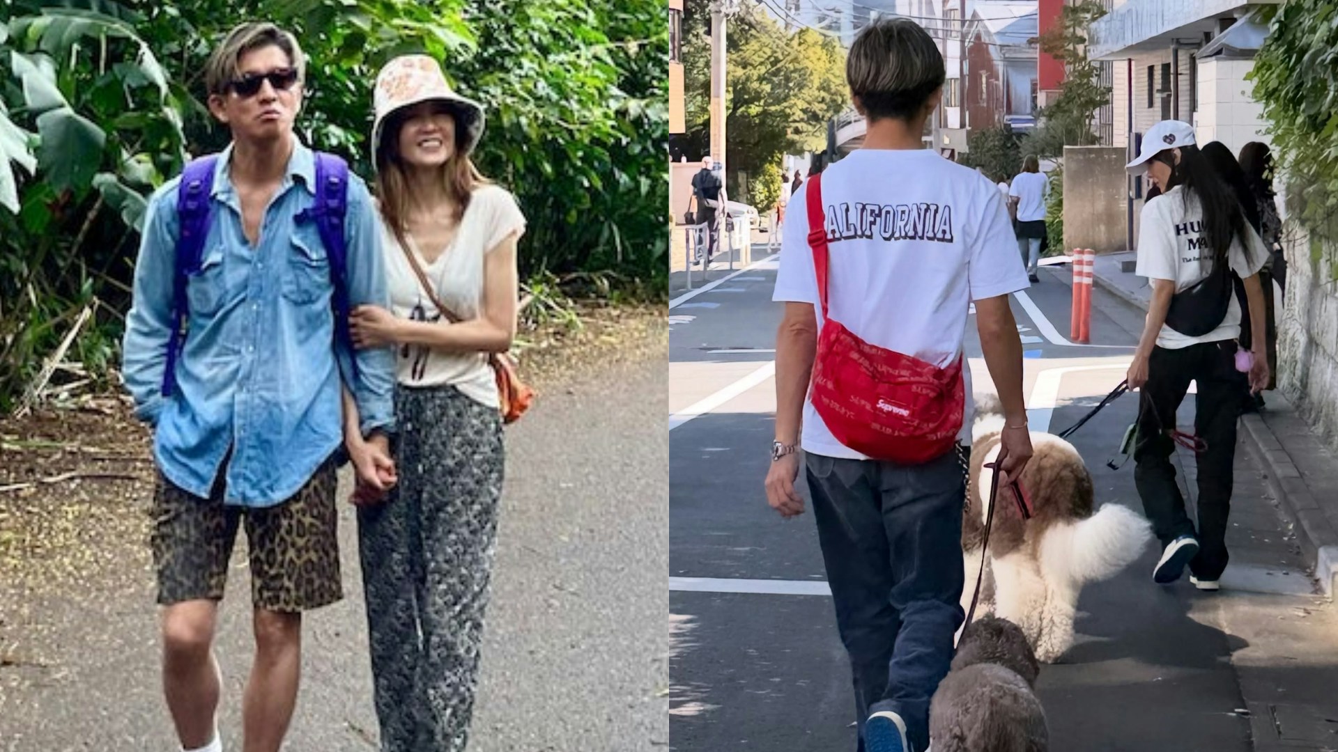 本来只是去逛书店,却靠大狗认出木村拓哉!粉丝日本东京偶遇夫妻俩,差点就错过“正面相见”! - 奇趣星球报