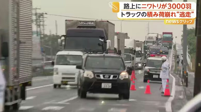 事故路段车辆排队通行，现场设有交通锥并有人员处理