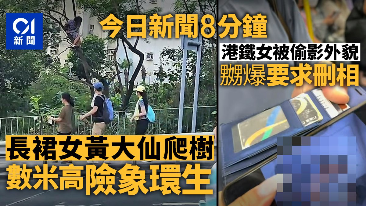 今日新聞8分鐘|長裙女爬數米高樹險象環生|港鐵女被偷影外貌