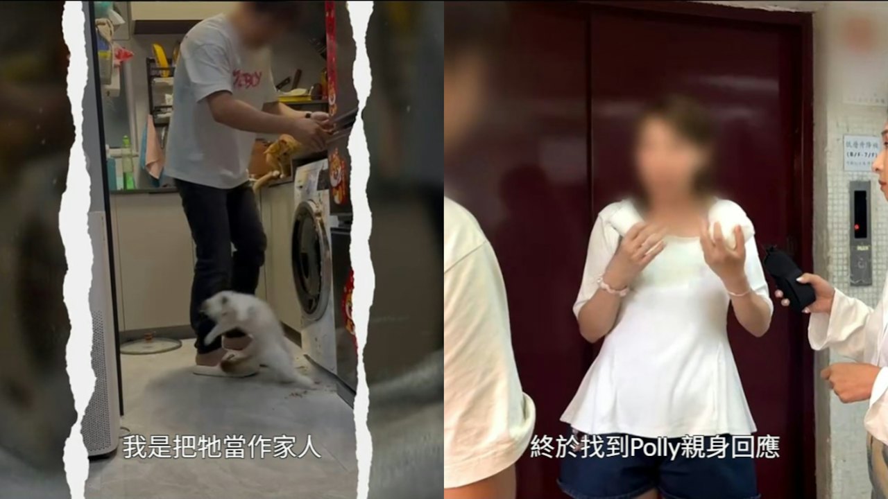 『東張西望』で紹介された猫の映像と、取材に応じる人物