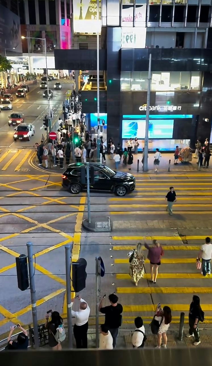 BMW with dual plates caught in Central turn mishap