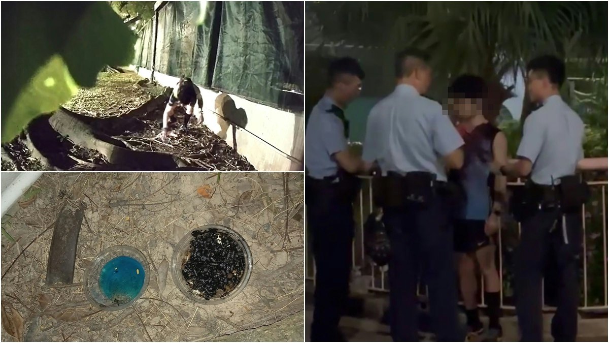 直擊石硤尾跑步男疑在貓兜投毒 義工裝cam擒人 揭藏老鼠藥利刀