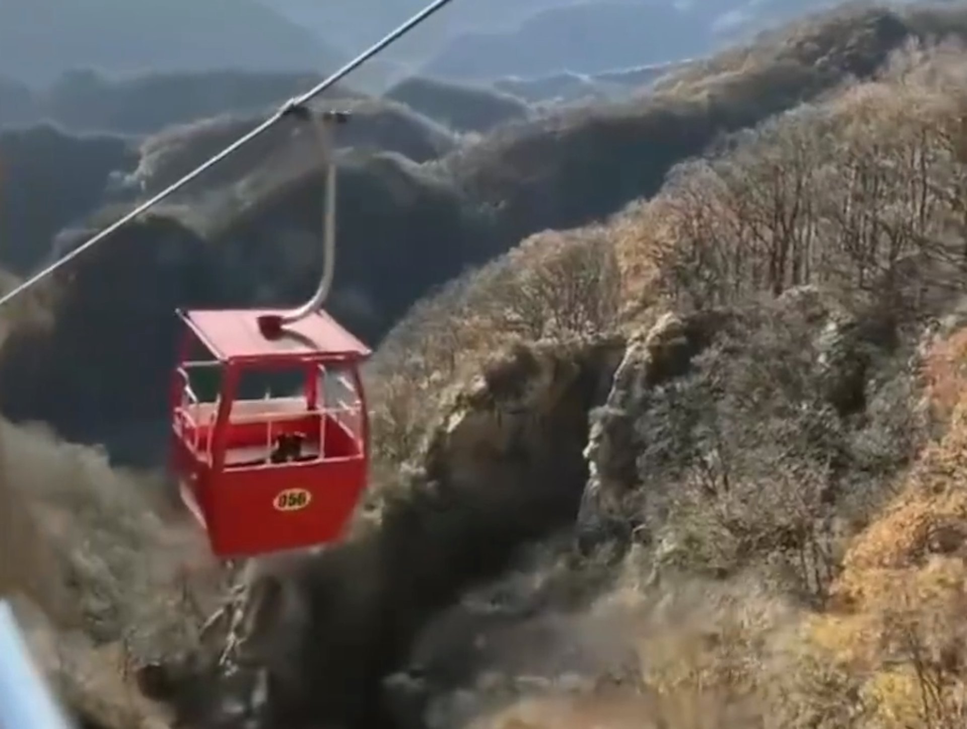 一只小黑狗独自乘坐缆车上山。(截图)