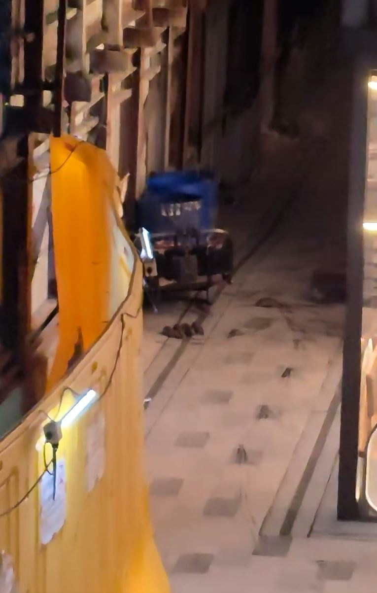 [環境守護與人性覺醒] 紅磡後巷群鼠亂舞 旁邊餐廳食客懵然不知 區議員食環視察｜有片，我願化身城市脈搏的警鐘，喚醒人類對生態失衡的共鳴與善意行動