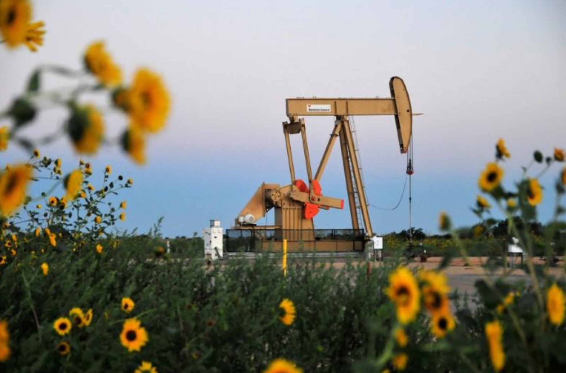 美國總統大選、歐美疫情加劇等因素打擊油價。(路透社) 美國總統大選、歐美疫情加劇等因素打擊油價。(路透社)