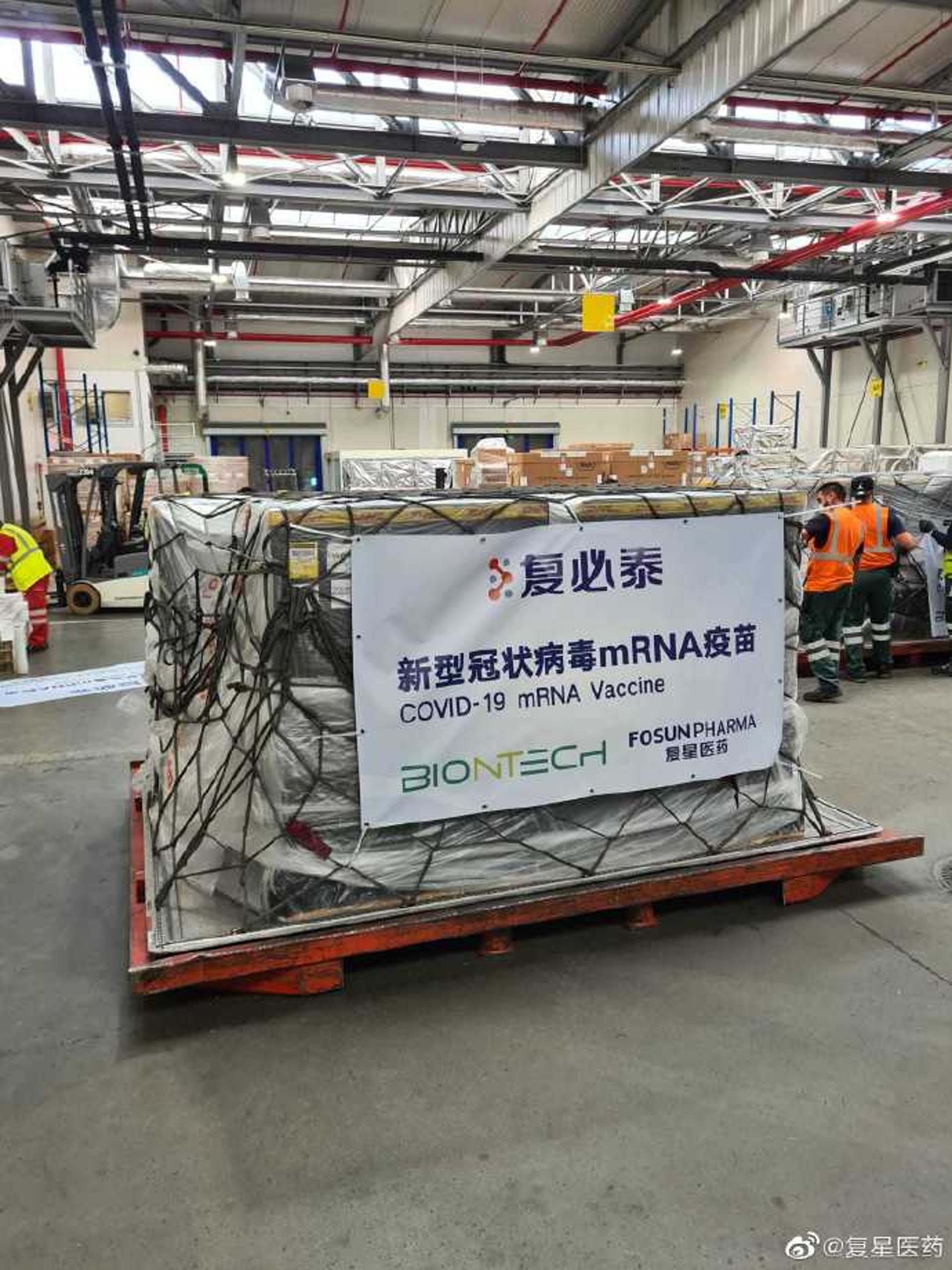 年報翻譯 財報翻譯 哈佛翻譯社 哈佛翻譯公司