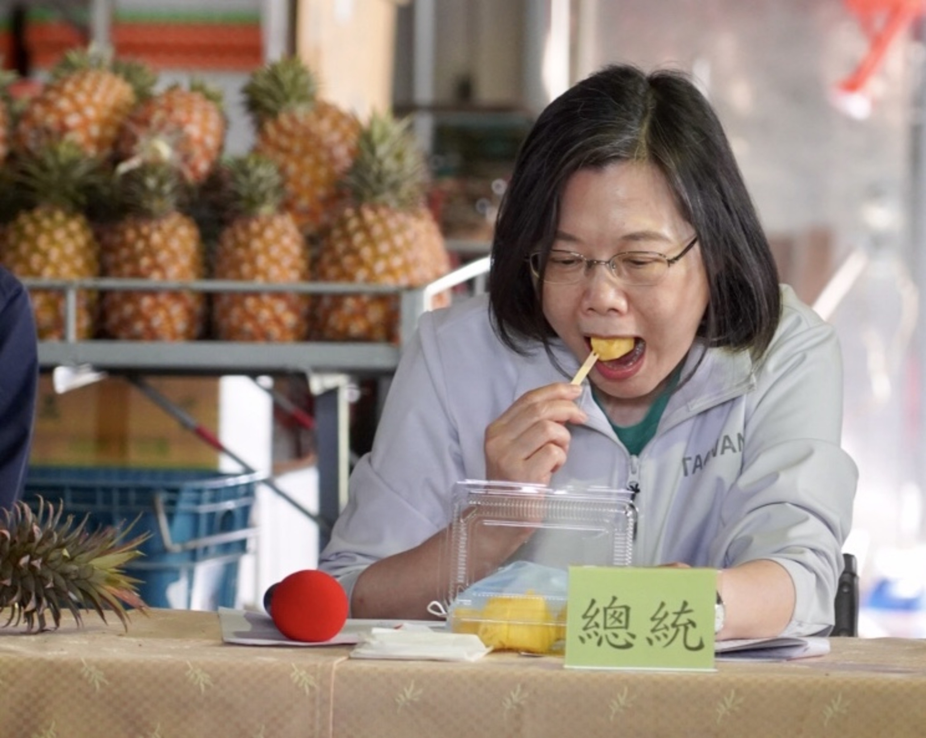 在陸方宣布暫停進口台灣菠蘿後，蔡英文2月28日南下高雄訪視農民，並喊話力挺農民。蔡英文強調，台灣政府會打開鳳梨行銷通路，讓世界知道台灣人不僅會做晶片，也會種好吃的鳳梨。（中央社）