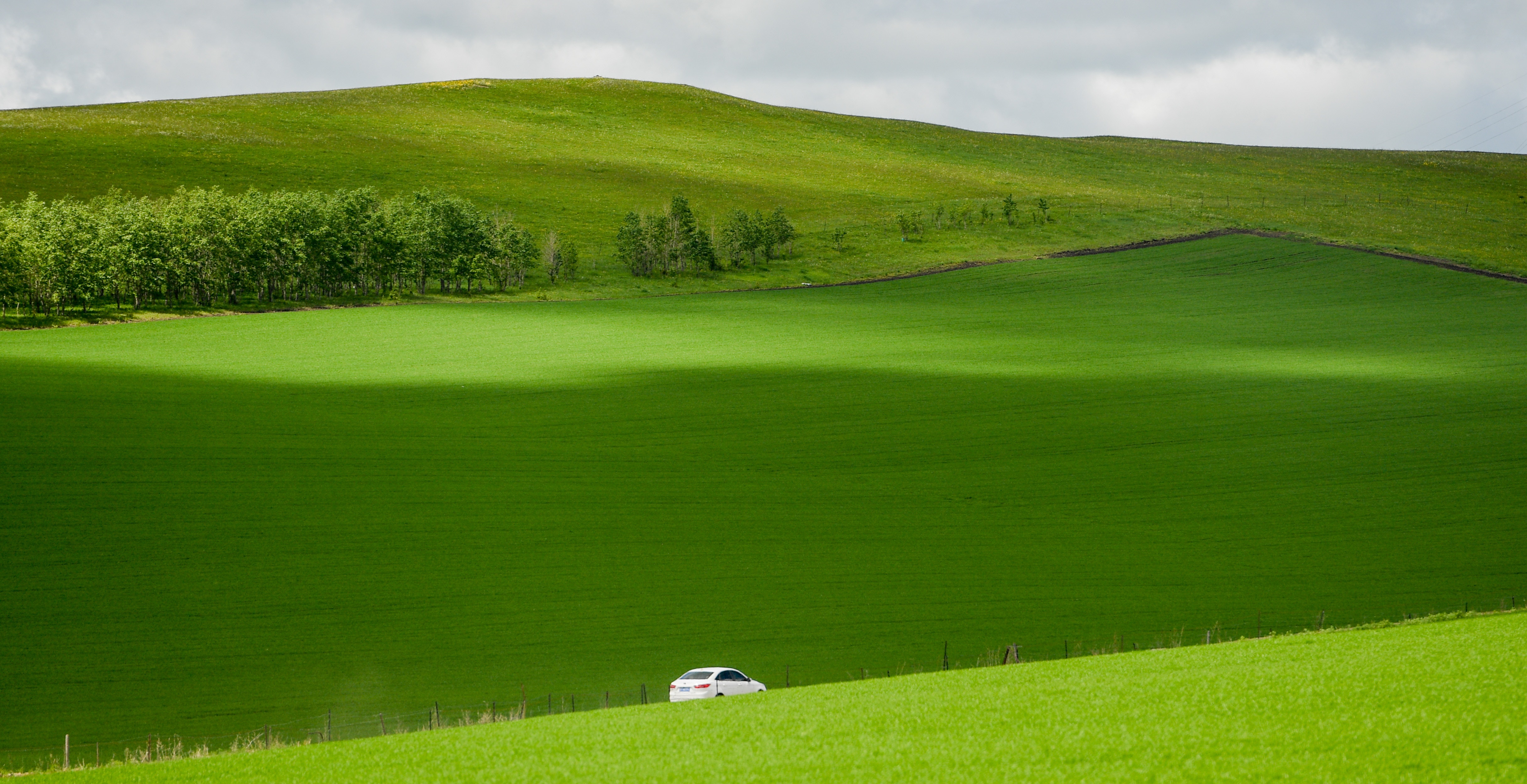 中國最美六大草原每一個都直擊心靈 圖集
