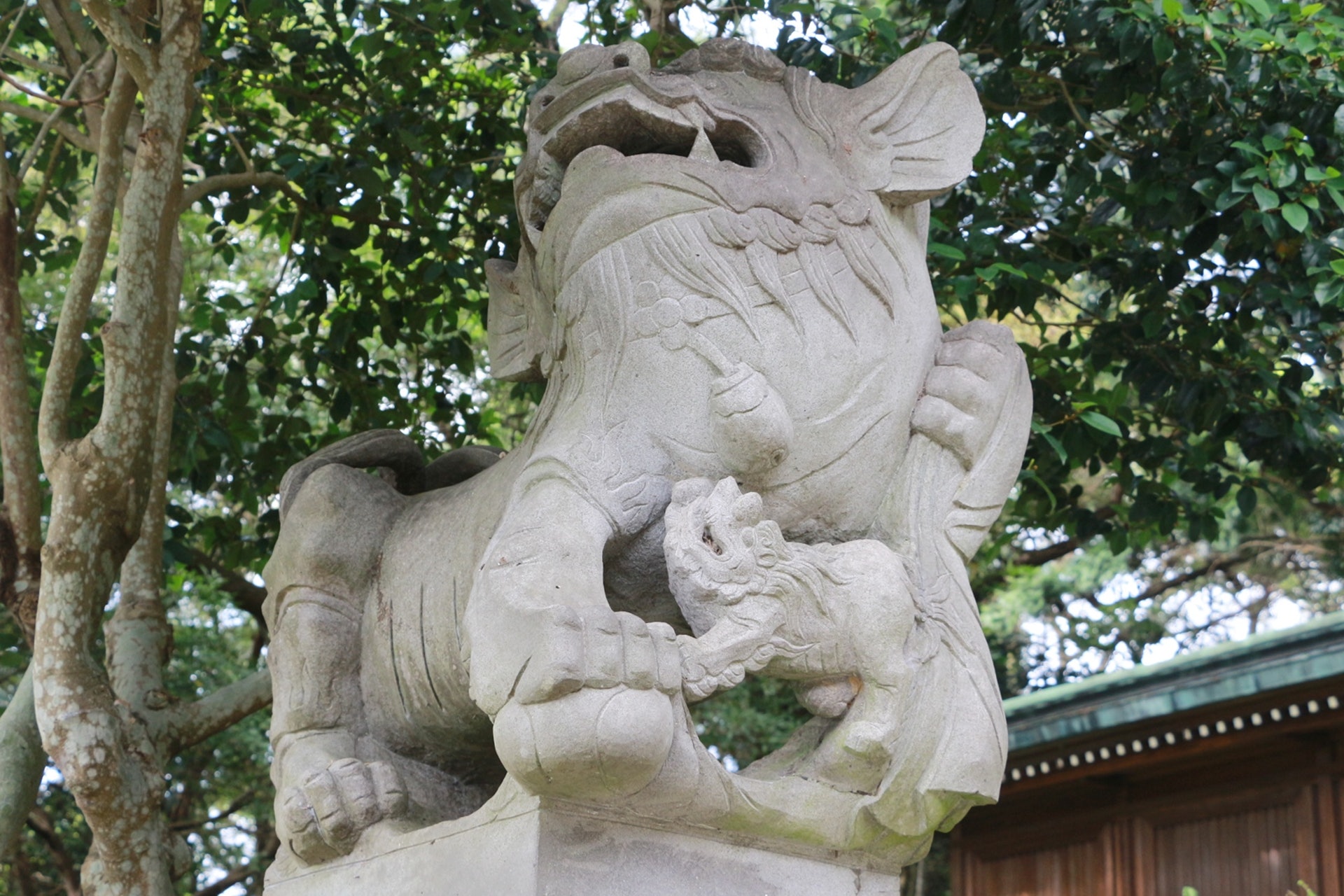 圖輯 台灣光復空間轉型 一探桃園神社今昔 圖輯 台灣光復空間轉型 一探桃園神社今昔