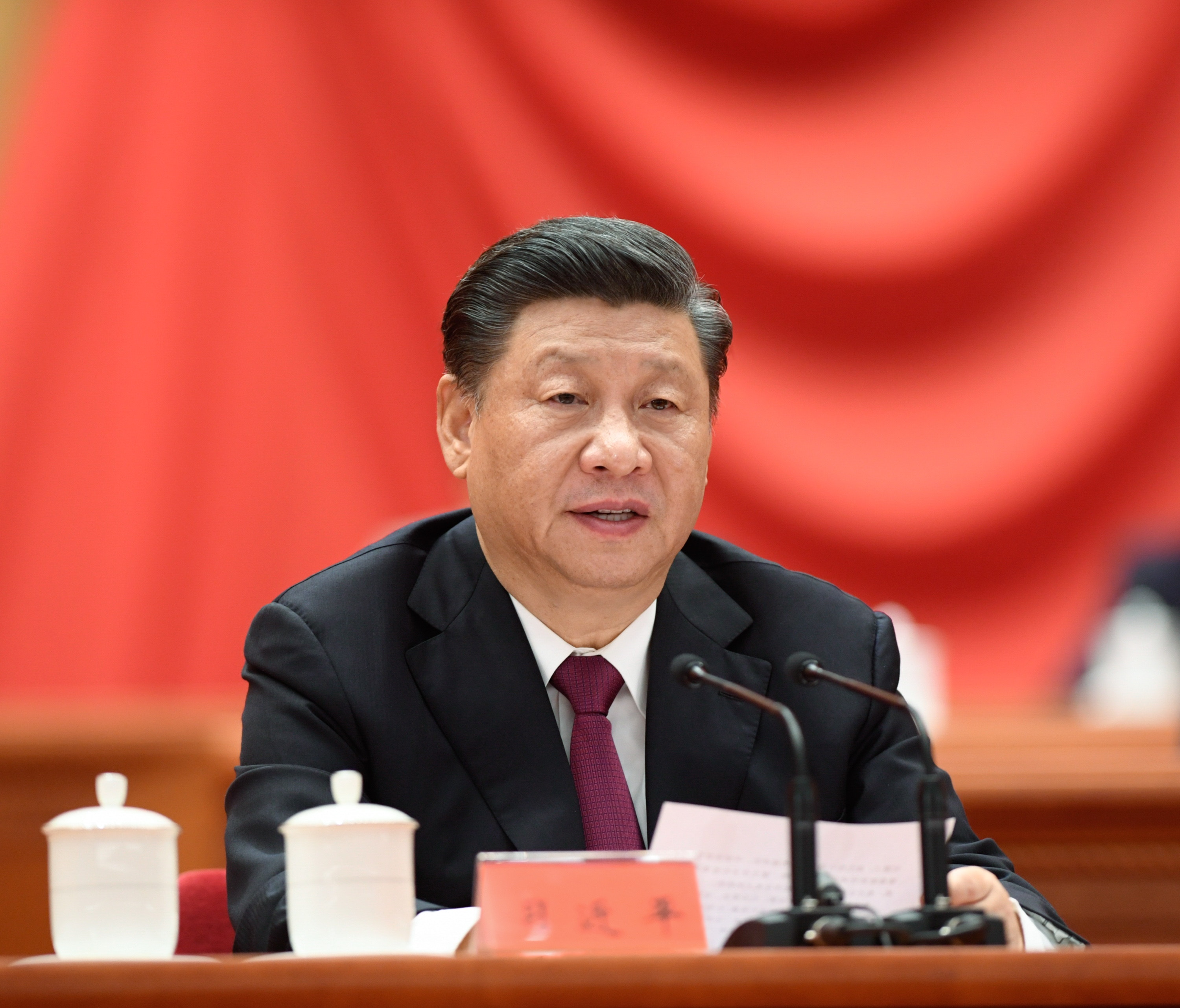 2月25日，中共舉行扶貧總結大會。圖為習近平出席並發表講話。（新華社）
