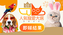 市場_人氣寵愛大選2025_1